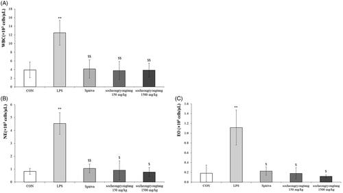 Figure 1. Socheongryongtang significantly controlled the number of white blood cells as well as the populations of both neutrophils and eosinophils in bronchoalveolar fluid. (A) Socheongryongtang completely inhibited the level of WBC, which had been increased by LPS intranasal infiltration, and this inhibition was on a similar level as that by Spiriva treatment. The proliferation of (B) neutrophil and (C) eosinophil were thoroughly down-regulated by socheongryongtang treatment. Each bar represents the mean ± SD (N = 6). **p < 0.01 vs. control group; $p < 0.05 vs. LPS intranasal instillation group; $$p < 0.01 vs. LPS intranasal instillation group.