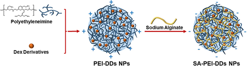 Scheme 1 Schematic illustration of the preparation of SA-PEI-DDs nanoparticles.