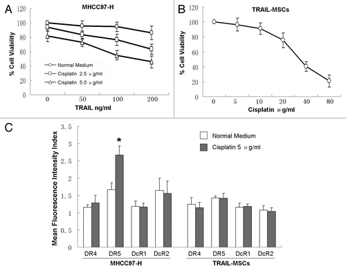 Figure 1. Enhanced suppression effects of MHCC97-H cells proliferation by combination of TRAIL with cisplatin in vitro. MHCC97-H cells were treated with different concentrations of TRAIL and cisplatin for 24 h (A). The viability of TRAIL-MSCs wasn’t affected significantly in a wide therapeutic window (B). After 24 h of treatment with 5.0 μg/ml cisplatin, only the expression of DR5 in MHCC97-H cells was increased greatly (C). Cell viability was determined by CCK-8 assay. Each point represents the mean ± SD of three independent experiments. Asterisk indicates p < 0.05.