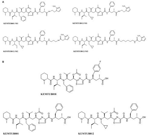 Figure 1 Chemical structures of tubulysin analogs. (A) Structures of nitroimidazole-tubulysin conjugates. (B) Structures of tubulysins.