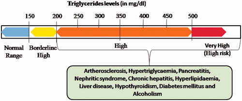 Figure 1 Reference range of triglycerides and various disorders associated with high level of TGs in human body.