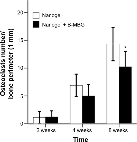 Figure 7 Number of osteoclasts from histological analysis (TRAP staining) in defects treated with either nanogels alone or B-MBG/nanogels at 2, 4, and 8 weeks post-implantation.Note: A significantly lower number of osteoclasts was observed at 8 weeks (*P<0.05).Abbreviations: TRAP, tartrate-resistant acid phosphatase; B-MBG, boron-containing mesoporous bioactive glass.