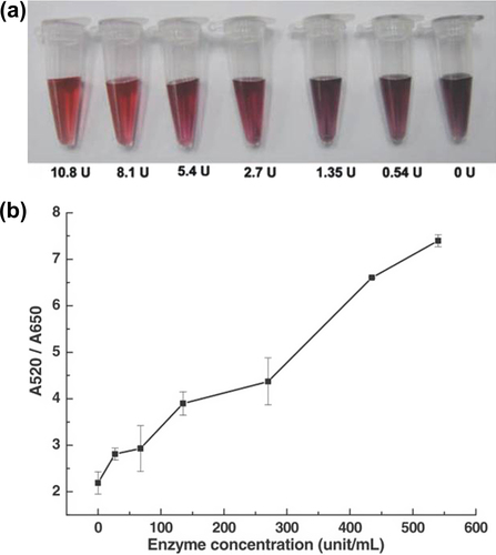 Figure 3. Colorimetric assays of RNase H enzyme at different concentrations (a) Colorimetric responses of the reaction mixtures on addition of different amounts of RNase H enzyme. (b) The corresponding absorption ratio of the resulting solution at 520 and 650 nm as a function of the enzyme concentration (by permission from authors) (CitationXie et al. 2011).
