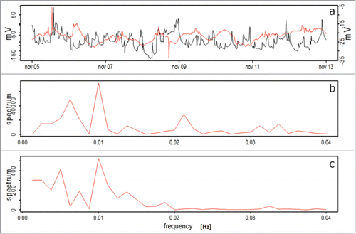 Figure 4. (A) EP for a living Persea americana plant, measured with the Keithley voltmeter (redline) and the electrophysiological sensor (black line), during the non - restriction water period. (B) and (C) Spectral analysis obtained from data collected by the Keithley - voltmeter and the electrophysiological sensor, respectively.