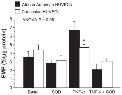 Figure 2 Comparison of EMP levels between the African American and Caucasian HUVEC groups under each of the experimental conditions.