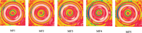 Figure 11. Thermal images of different multiple fault conditions in bearing at 19 Hz.