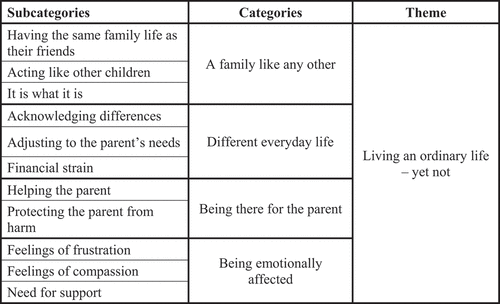 Figure 1. Overview of the subcategories, categories and theme.