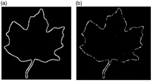 Figure 4. (a) and (b) is the structure regions of Figure 2(a) and Figure 2(c) detected by 3 D-FAST, respectively.