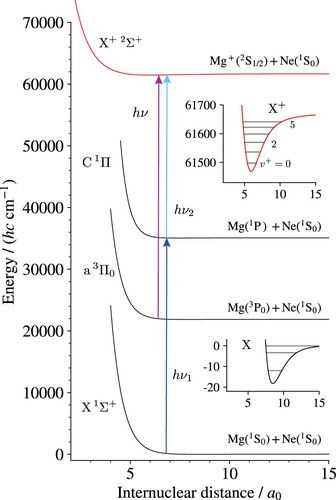 Figure 1. Excitation scheme used to study the X+ 2Σ+ ground state of MgNe+. The two-photon excitation scheme X+2Σ+←C1Π←X1Σ+ is shown in blue and the one-photon excitation X+2Σ+←a3Π0 in purple. The potential-energy functions for the X 1Σ+, a 3Π0, and C 1Π states are Morse-type functions with parameters derived from Ref. [Citation1] (Re values and vibrational constants for the X 1Σ+ and a 3Π0 state) and this work (D0 and vibrational constants for the C 1Π state). The potential-energy function for the X+ 2Σ+ state (shown in red) has been derived from experimental data presented in this work (see Section 3.3 for details) and is shown enlarged in the upper inset along with horizontal bars indicating the energetic positions of all measured vibrational levels. The lower inset shows the enlarged potential-energy function of the X 1Σ+ state.