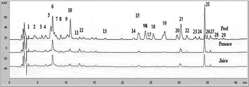Figure 3 ‘Verde Doncella’ peel, pomace, and juice HPLC chromatograms read at 280 nm. (1) Gallic acid; (2) Procyanidin B1; (3) Unknown procyanidin dimer; (4) Catechin; (5) Procyanidin B2; (6) Chlorogenic acid; (7) Unknown procyanidin dimer; (8) Caffeic acid; (9) Anthocyanin; (10) Epicatechin; (11) Cyanidin-3-rutinoside; (12) Unknown procyanidin dimer; (13) p-Coumaric acid; (14) Unknown procyanidin dimer; (15) 3-Hydroxyphloretin 2-xyloglucoside; (16) Quercetin 3-galactoside; (17) Rutin; (18) Quercetin 3-glucoside; (19) Quercetin derivative; (20) Unknown phloretin derivative; (21) Phloretin 2’-xyloglucoside; (22) Quercetin 3-rhamnoside; (23) Unknown phloretin derivative; (24) Unknown phloretin derivative; (25) Phloridizin; (26) Unknown; (27) Hyperin; (28) Avicularoside; (29) Quercetin.