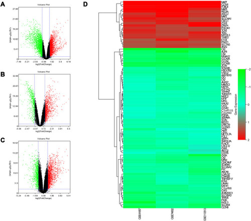 Figure 1 The volcano plots of GSE41657 (A), GSE74602 (B), and GSE113513 (C), and the heat map (D) describing the level of overlapping DEGs.