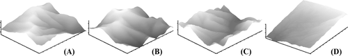 Figure 2.  Experimental DEM.