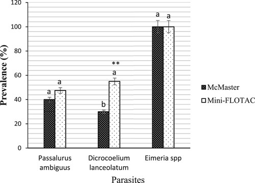 Figure 5. Prevalence of gastrointestinal parasites from rabbits detected by McMaster and Mini-FLOTAC techniques. Each bar of the chart represents the proportion of animals infested. The letters on each bar compare the results obtained by both techniques through the two-proportions z-test in R with the function prop.test using. Different lowercase letters indicate a significant difference between values at p < 0.05.