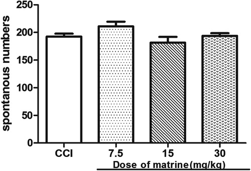 Figure 7. Effects of matrine on the spontaneous locomotor activity test. Effects of matrine of different dosage on spontaneous locomotor activity test after chronic constriction of sciatic nerve compared with the CCI group. Data are expressed as mean ± SEM, n = 10 per group.