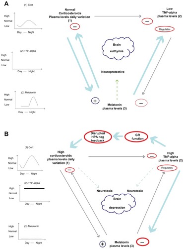 Figure 4 Reciprocal influences of the corticosteroid, melatonin and immune systems in the normal (A) and in chronically stressed/depressed state (B).
