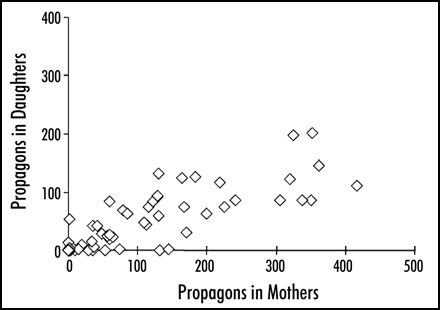 Figure 5 Propagons in pairs of mother and daughter cells taken from a culture of ψ+ cells in which Hsp104 had been overexpressed for 20 hours. The mothers and daughters were separated after cytokinesis and placed on 3 mM guanidine hydrochloride as described in reference Citation6. The figure illustrates malsegregation in a minority of the dividing cells, never observed in normal cultures. Thirty-six percent of the colonies from this culture were ψ- or sectored.