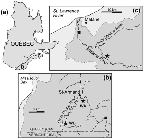 Figure 1. (a) Québec Province map with location of the two study sites, (b) close-up map of the Matane River site (star), and (c) close-up view of the two wetlands (wetland A-WA and wetland B-WB) of the De la Roche River. The black square in (b) and (c) indicates the closest gauging station, and the darker grey area represents the watershed area.