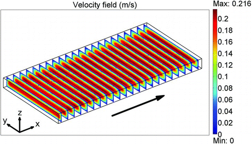 FIG. 1 Air velocity field in the planar DMA at P = 101,325 Pa, T = 20°C, the height in the z-direction is 5 mm and the width in the y-direction is 40 mm. The total flow rate in the DMA was 2 l/min. The velocity is coded according to the scale bar on the right in m/s. The arrow indicates the direction of flow.