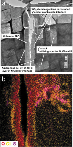 Figure 7. (a) BF-STEM image revealing a crack and the associated features and (b) the distribution of oxidising species and their relative locations.
