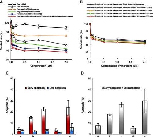 Figure 5 Cytotoxicity and apoptosis in TNBC cells after treatment with functional miRNA liposomes and functional vinorelbine liposomes. (A) Cytotoxicity in MDA-MB-231 cells in vitro after treatments. The results reveal that the combination treatment of functional miRNA liposomes and functional vinorelbine liposomes has the strongest efficacy in killing MDA-MB-231 cells. (B) Cytotoxicity in MDA-MB-231 cells in vitro after transfections. The results demonstrate that the concentration of 100 nM miRNA is the optimal transfection concentration, with the highest transfection efficiency and lower cytotoxicity. (C) Early apoptosis and late apoptosis ratios in MDA-MB-231 cells after treatments at 12 hrs. Data are the mean ± standard deviation (n=3). a, blank control; b, regular vinorelbine liposomes; c, functional vinorelbine liposomes; d, functional miRNA liposomes; e, functional miRNA liposomes with functional vinorelbine liposomes. (D) Total apoptosis ratios in MDA-MB-231 cells after treatments at 12 hrs. Data are the mean ± standard deviation (n=3). a, blank control; b, regular vinorelbine liposomes; c, functional vinorelbine liposomes; d, functional miRNA liposomes; e, functional vinorelbine liposomes with functional miRNA liposomes. The results indicate that the combination treatment of functional miRNA liposomes and functional vinorelbine liposomes result in the strongest apoptosis in MDA-MB-231 cells.