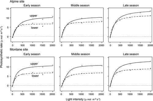 Figure 4. Seasonal dynamics of light-response curves of photosynthetic rates at montane and alpine sites. Photosynthetic curves for upper (solid line) and lower canopy (dashed line) are indicated. See Table 1 for information on photosynthetic parameters