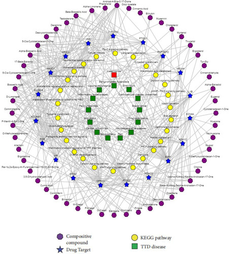 Figure 4 Component-target-pathway-disease network of XHP.