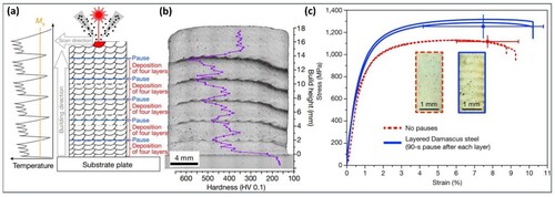 Figure 8. (a) A schematic of the fabrication process. After the construction of each four layers, the process was paused for 120 s to enable sample cooling. The temperature profile with the Martensite starting temperature (Ms) indicated is shown on the right. (b) A light optical micrograph displaying a dark band at the location where the pause was introduced. The overlay of the hardness curve reveals peaks in hardness corresponding to each dark band. (c) Tensile stress-strain curves of layered Damascus steel and the homogeneous counterpart manufactured without interruptions during the fabrication process. Reprinted with permission from [Citation19].