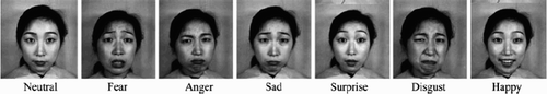 Figure 2. Six basic emotions and neutral expression from JAFEE database (Lyons, Budynek, and Akamatsu Citation1999).