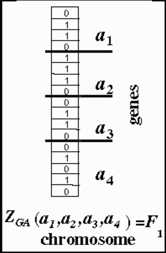 Figure 4. Example of an individual in the population characterized by four parameters (genes) encoded in a chromosome yielding the individuals's fitness value F1.