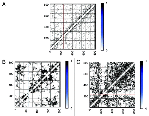 Figure 5. Coarse-grained intra-chromosomal contact patterns. Contact patterns shown in Figure 4 are processed as described in the Material and Methods. After being filtered, significant interactions in contact matrices were labeled as ones and those insignificant as zeros. As a consequence, contact matrices were converted into coarse-grained adjacency matrices shown here. Pattern (A) from the experiment, pattern (B) from the “Gene Proximity Model” and pattern (C) from the “Null Model”. More contact patterns can be found in the Supplementary Material.