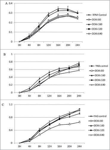 Figure 1. Continuous growth measurement of R. arrhizus in the presence of 0 (control), 80, 160, 320 and 640 ng/ml for DEXA under standard atmosphere in RPMI (A), YNB (B) and YAG (C). No promotion of growth was observed (P value > 0.05, t Student non parametric test).