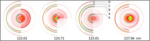 Figure 3. Raw O+ images from FEL-only (right side) and FEL + O(3P2) REMPI (left side) crossing an O2 molecular beam. Intensity is shown on a log scale to bring out the weaker rings, a colour coding bar for linear colour scale images is shown in Figure 5. For both lasers linear polarisation is used with the E field direction along the vertical axis of the figure. The more intense rings seen with VUV+REMPI are labelled (D–X) in the 125.01 nm image.