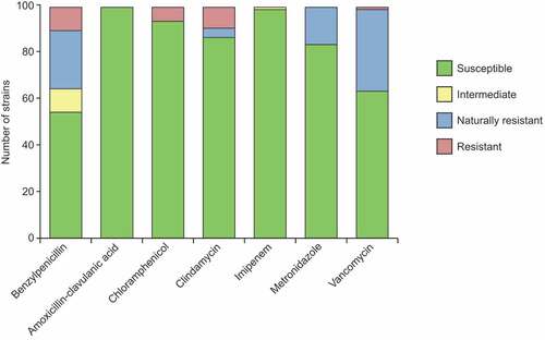 Figure 2. Antimicrobial susceptibility of the MCC100 bacterial strains. The number of susceptible, intermediate resistant, resistant and naturally resistant strains is indicated for each antibiotic tested. MIC values were determined by gradient strip method and the results interpreted according to EUCAST guidelines. Vancomycin was only tested in the Gram-positive strains as indicated by EUCAST and intrinsic resistance was assumed for the non-tested strains for the graphical representation