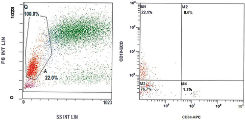 Figure 1 Flow cytometric peripheral blood forward-angle light scatter (FS)/right-angle light scatter (SS) dot plot and CD19/CD34 dot plot. Gate A (area inside black line in a trapezoid form) encompasses lymphocytes, stem cells, blasts and monocytes and excludes dead cells and nonspecific particles.