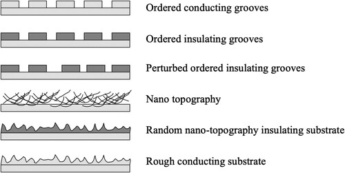Figure 3. Types of nanotopology.