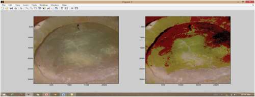 Figure 4. Threshold-based segmentation of sulfur added image.