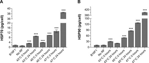 Figure 13 (A) HSP70 and (B) HSP90 induction at 0 hours and 24 hours after a single cycle of RF-induced dextran-coated LSMO-mediated hyperthermia. ***P<0.001, one-way analysis of variance followed by Dunnett’s test.Abbreviations: HSP, heat shock protein; LSMO, La0.7Sr0.3MnO3; RF, radiofrequency.