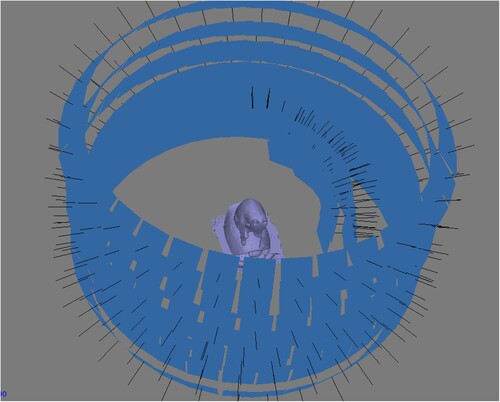 Figure 5. Visualization of image network for Acquisition A VIS 3D reconstruction. Screenshot from PhotoScan.