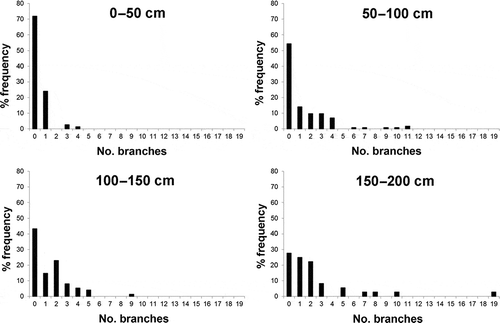 Figure 9. Frequency distribution of the number of branches in Parantipathes larix from Montecristo.