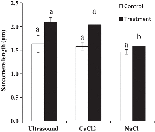 Figure 8. Comparison of effects of ultrasound with the intensity of 100 W, 500 mM CaCl2, and 300 mM NaCl injection on the muscle fibers from Qichuan beef. Values with different letters are significantly different among three methods (P < 0.05). Error bars, mean ± SE.