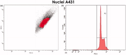 Figure 5. Selection of the gate for nuclei of A431 cells. (a) FSC/SSC DotPlot graph. Single, cytoplasm-free nuclei are highlighted in red. (b) The cell-cycle histogram (propidium iodide-staining) confirms the correctness of selected gate.