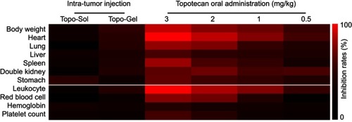 Figure 10 The effect of topotecan on the hematological parameters, body weight, and mass of the main organs of nude mice (Tables 4 and 5). The inhibition rates in each group were calculated and shown as a heat map.