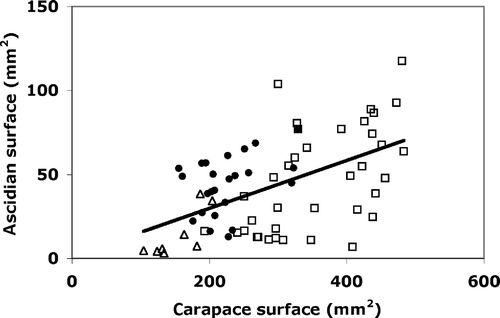 Figure 3. Relationships between ascidian cover and carapace area of each studied crab (y = 0.15x − 1.54, n = 74, r = 0.55, p < 0.001). Female, empty squares; males, black spots; juveniles, empty triangles.