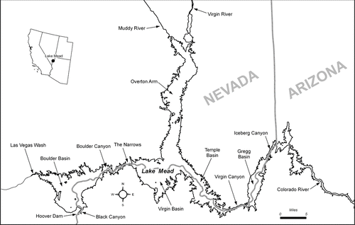 Figure 1 Key features of Lake Mead.