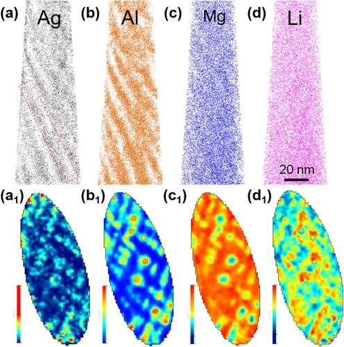 Figure 3. APT reconstruction of Mg-Li-Al-Ag alloy showing (a) Ag, (b) Al, (c) Mg and (d) Li ions distributions; (a1–d1) 2D atomic density contour maps of Ag, Al, Mg and Li ions projected from a 60 nm × 120 nm × 8 nm volume marked by the red dashed rectangle in (a). The black dashed circles in (b1) represent the core of some Al-Ag co-clusters and the ones in (d1) correspond to the identical positions in (b1).