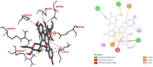 Figure 9. The 3 D docked view of the optimized structure of edotecarin in α5β1 integrin. The ligand interaction diagrams of receptor ligand complexes are Show (binding affinity -9.1 kcal/mol).