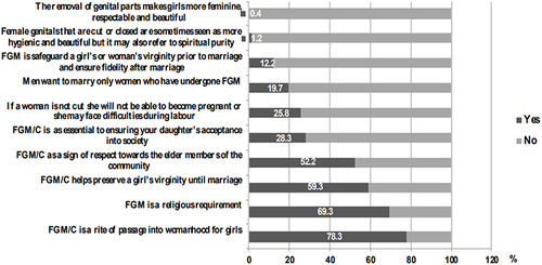Figure 1 Views of participants on FGM/C (n = 508).