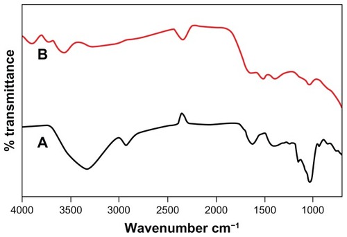 Figure 10 Fourier transform infrared absorption spectra of dried Dioscorea bulbifera tuber extract (A) before bioreduction and (B) after complete bioreduction of Ag+ ions at 50°C.