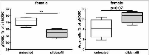 Figure 8. In vitro direct effect of sildenafil on MDSC. FACS analysis of CD11b+Gr1+Ly6Clow cells and their Arg expression. The cells were obtained from PDAC-bearing mice and cultivated for 48 h treated with sildenafil. Data from three independent experiments are presented, **p < 0.01, control vs. sildenafil-treated splenocytes.