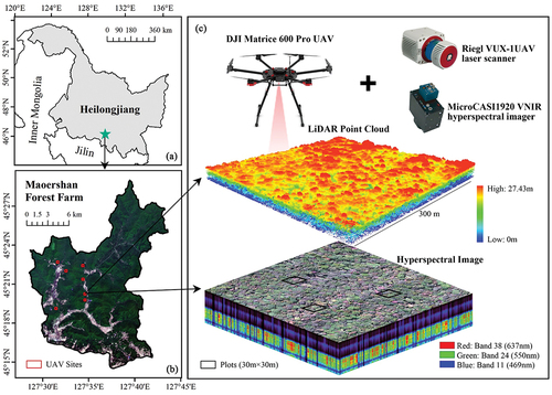 Figure 1. (A) the location of Maoershan forest farm; (b) the Sentinel-2 image of Maoershan acquired on 21 May 2016 and the location of UAV sites; (c) LiDAR and hyperspectral data from a UAV site and photos of UAV and sensors. The projection coordinate system used for all data in this study is WGS 1984 UTM Zone 52 N.